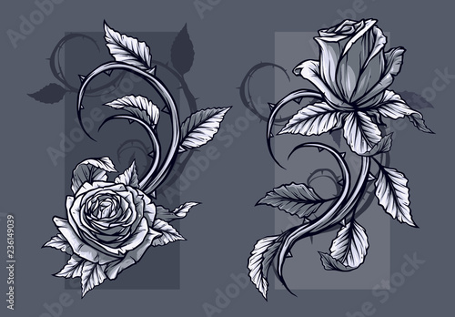 Graphic detailed graphic black and white roses flower with stem and leaves. On gray background. Vector icon set. Vol. 9