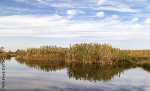 A beautiful river with reed on its shore and its reflection on the water.