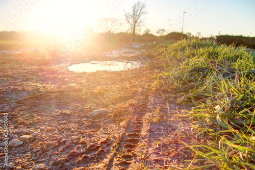 A warm landscape of a plowed field with some grass and a water puddle during a winter sunset in backlight, in Badia di Dulzago, Piedmont, Italy photo