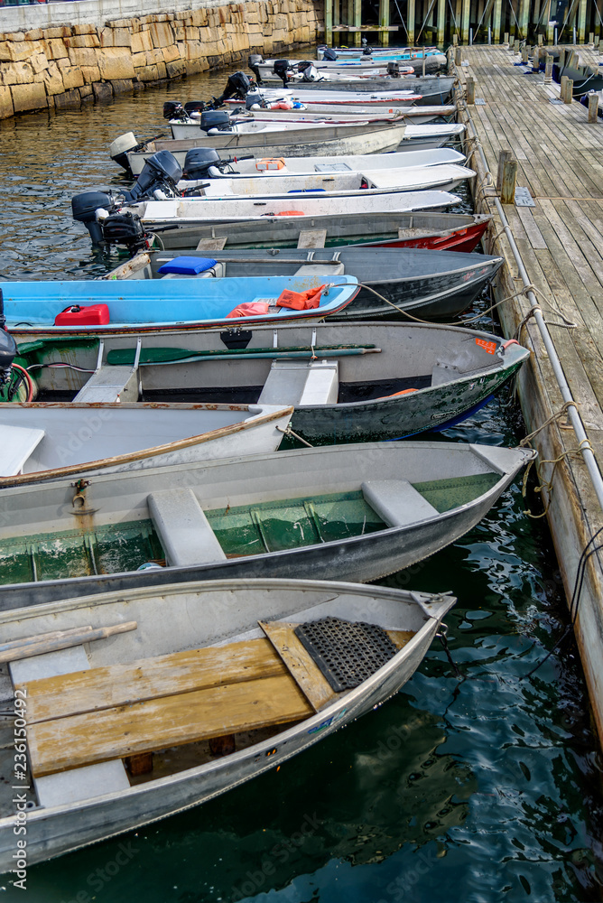 A Fleet of Rowboats Tenders Small Motor Boats at Dock