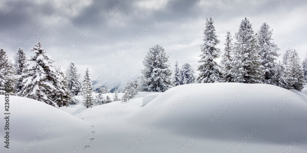 Fototapeta premium Panorama einer Winterlandschaft in Tirol Österreich