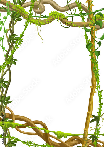 Twisted wild lianas branches frame.