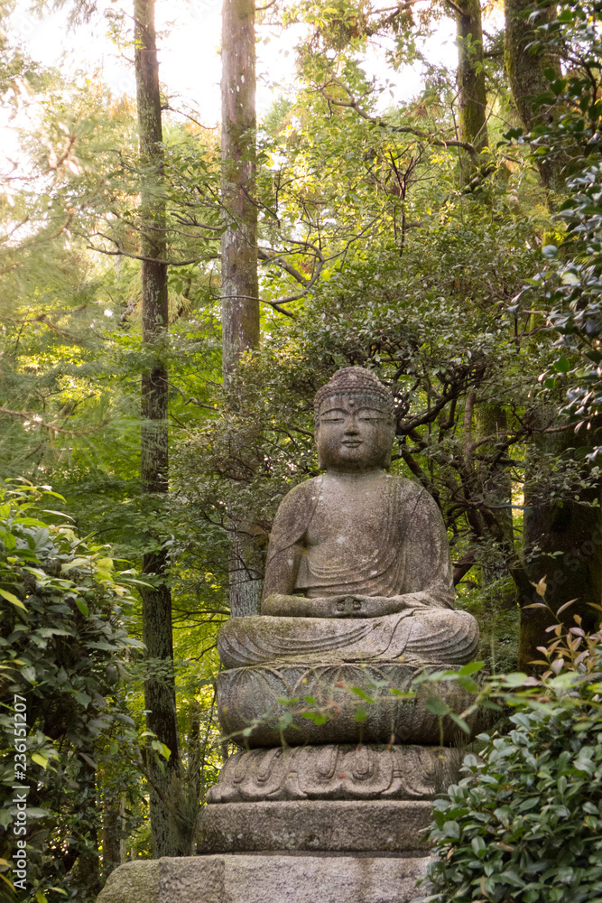 Buddha statue in the forest of Ryoanji Temple, Kyoto, Japan Buddha statue in the forest of Ryoanji Temple, Kyoto, Japan
