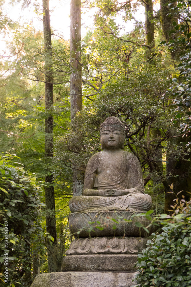 Buddha statue in the forest of Ryoanji Temple, Kyoto, Japan