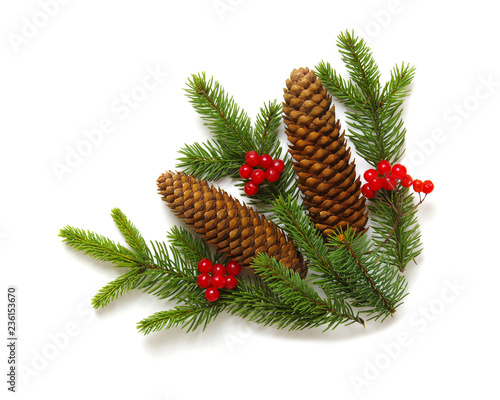  fir branches isolated on a white background