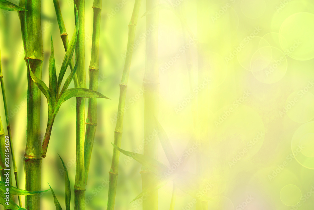Fototapeta premium Bamboo forest spa background. Watercolor hand drawn green botanical illustration with space for text