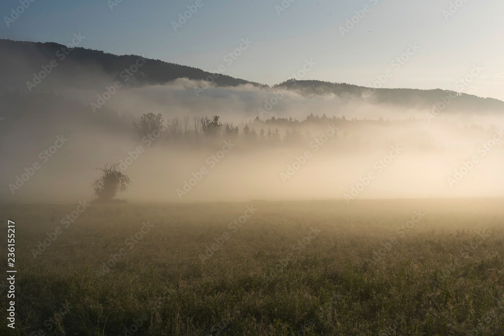 Nebliger Sommermorgen Nebliger Sommermorgen