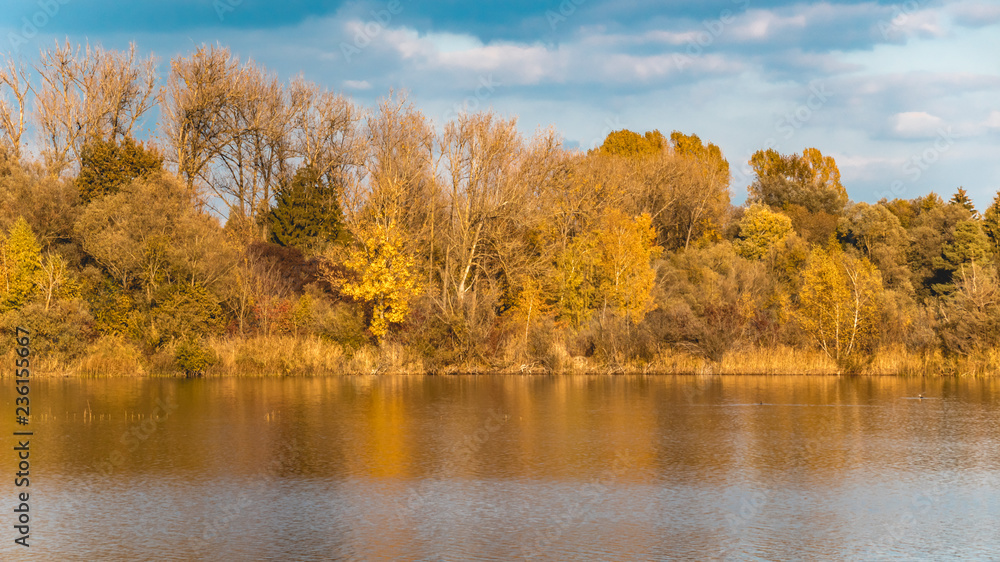 Beautiful autumn view with reflections at a pond near Aholming-Bavaria-German Beautiful autumn view with reflections at a pond near Aholming-Bavaria-German
