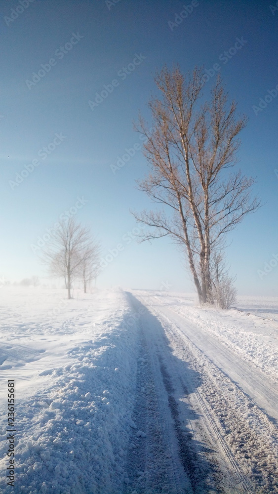Obraz premium Geräumte Strasse im Winter