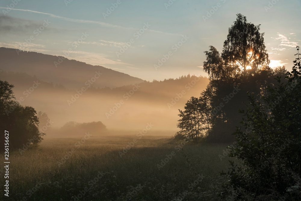 Nebliger Sommermorgen Nebliger Sommermorgen