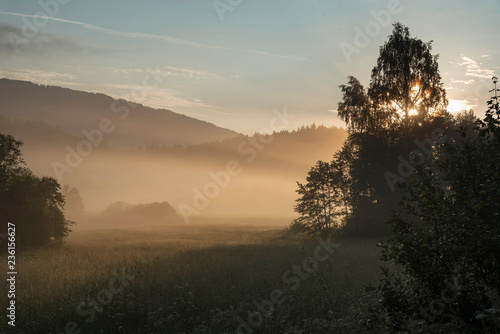 Nebliger Sommermorgen © Hanna Gottschalk