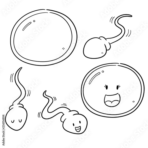vector set of sperm and egg