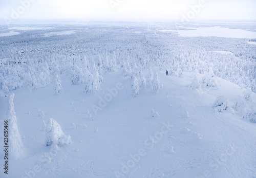 Wallpaper Mural Hiker on top of the hill in winter wonderland Torontodigital.ca