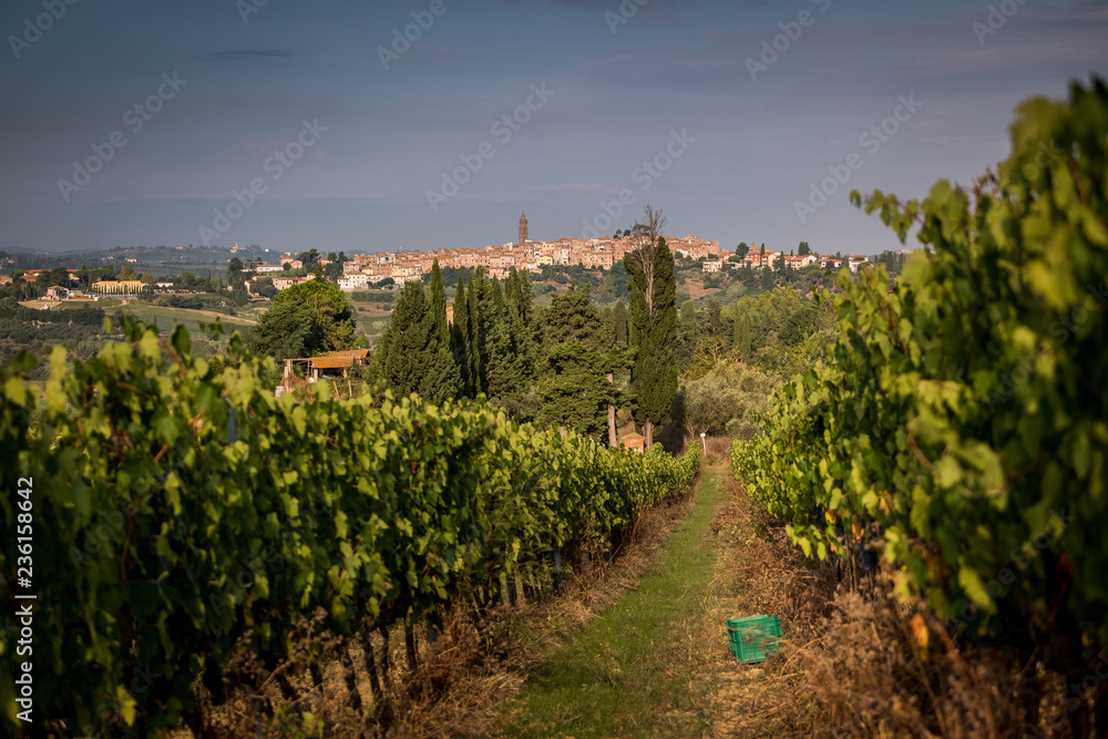 Peccioli, Pisa, Tuscany - Countryside landscape Peccioli, Pisa, Tuscany - Countryside landscape