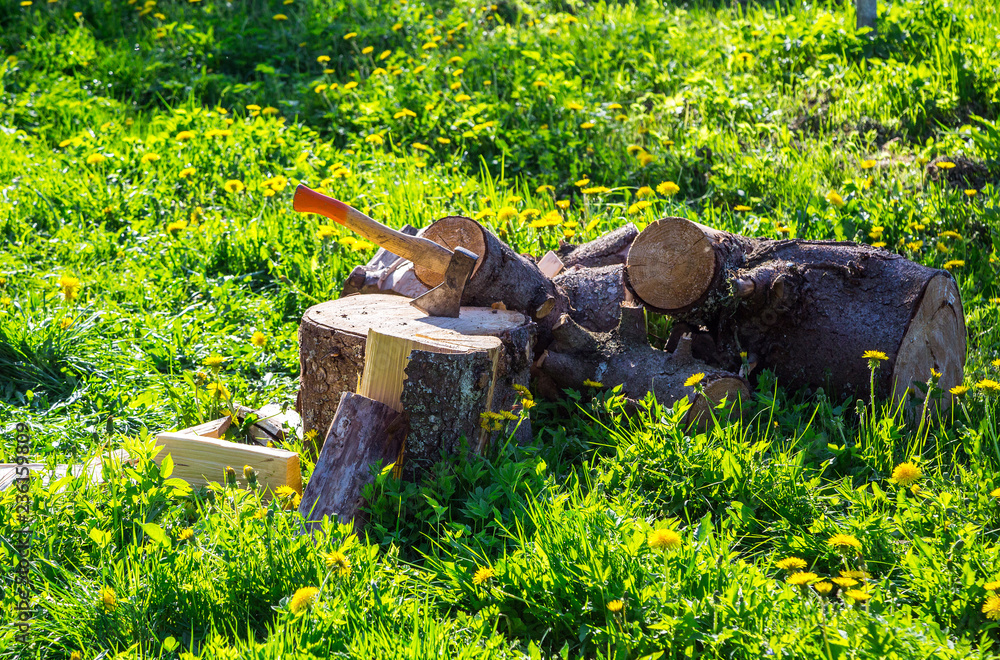 Fototapeta premium ax and firewood on the grass