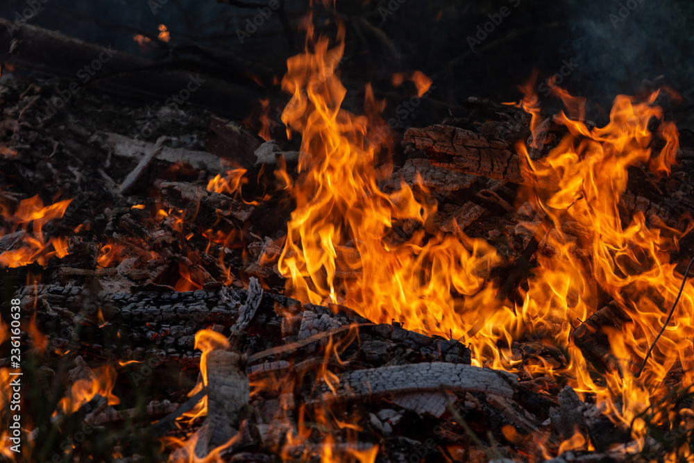 Burning down fire. Last embers and ashes Burning down fire. Last embers and ashes