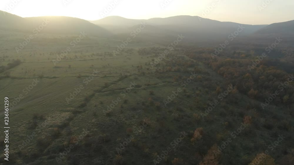 View of the setting sun over a beautiful green forest View of the setting sun over a beautiful green forest