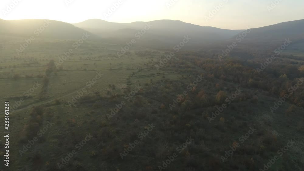 View of the setting sun over a beautiful green forest View of the setting sun over a beautiful green forest