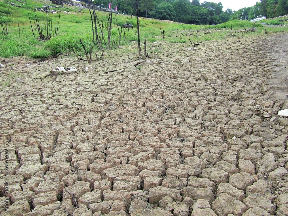 Φωτογραφία LAC VIDE DE GUERLEDAN EN JUILLET 2015 - BRETAGNE - MORBIHAN ET COTES D'ARMOR