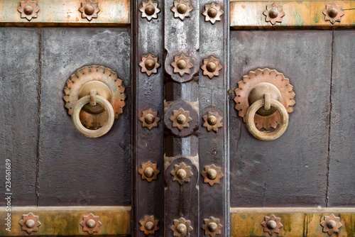 Old vintage wooden door in India close © Yakov