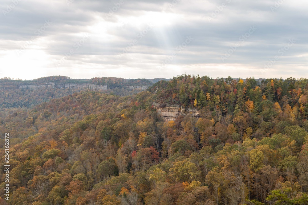 Otoño en Red River Gorge 