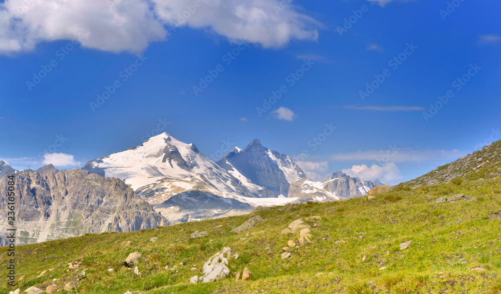 view on snowy peak on a alpine glacier background of green meadow