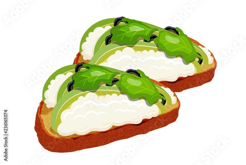 Beautifully plated avocado toast.  Sandwich with avocado, mayonnaise and olives. Vector illustration of vegetarian and healthy food.