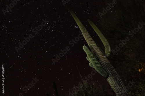 The Pleiades star cluster seen in the Sonoran Desert night sky with a meteor and a saguaro cactus painted with light against a black sky with stars visible. Saguaro National Park West, Arizona. 