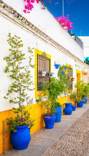 Old town of Cordoba with flowers