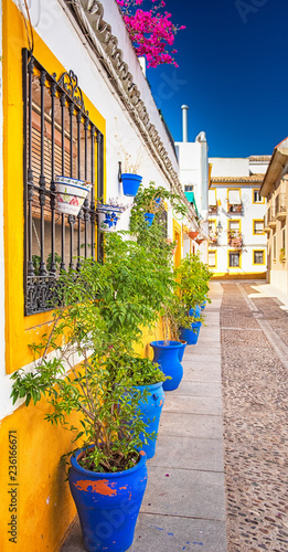 Old town of Cordoba with fl...