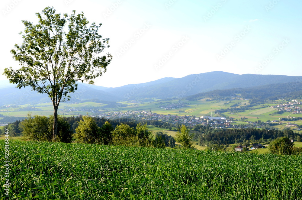 View of Ulrichsberg, Austira