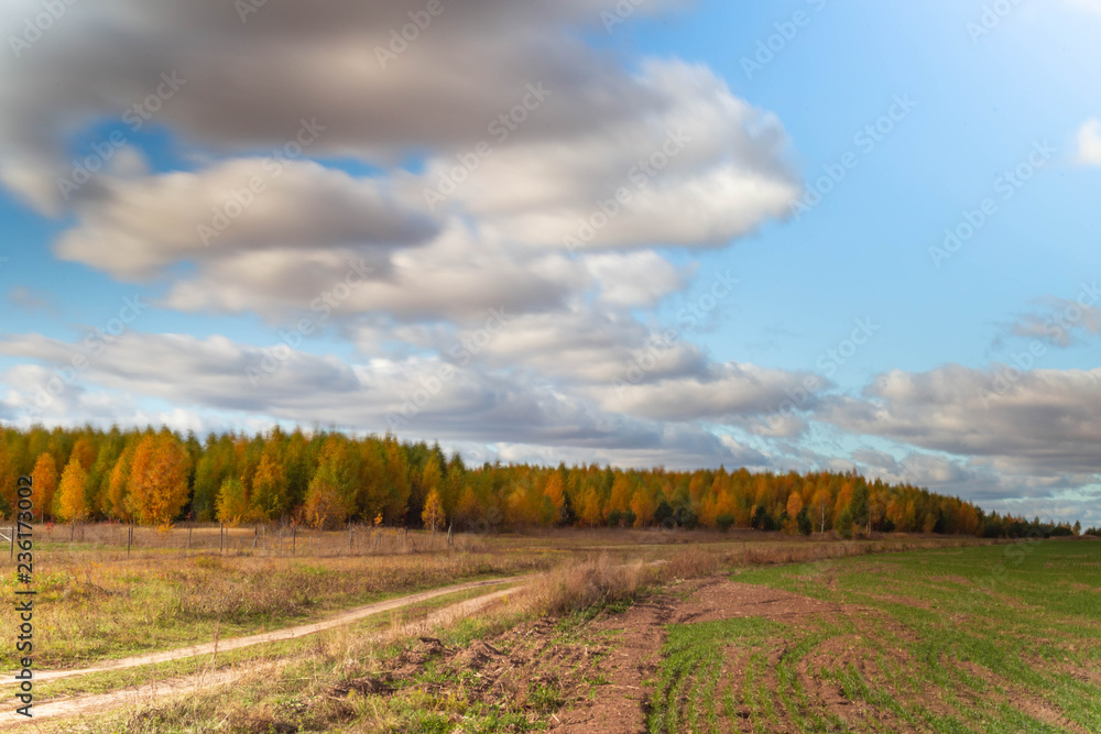 autumn rural landscape in Chuvashia in Russia, shot on a clear day with variable clouds