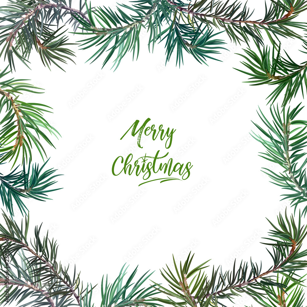 Frame with fir tree Frame with fir tree