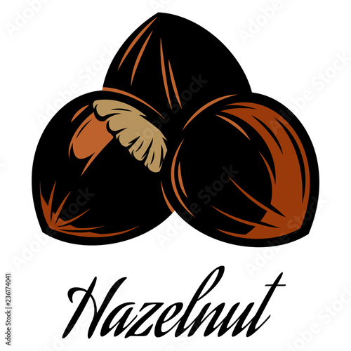 Vector color illustration of a hazelnut pod