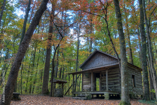 Cabin in Woods © Jeff