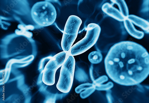 Molecules, Cells, Chromosomes photo