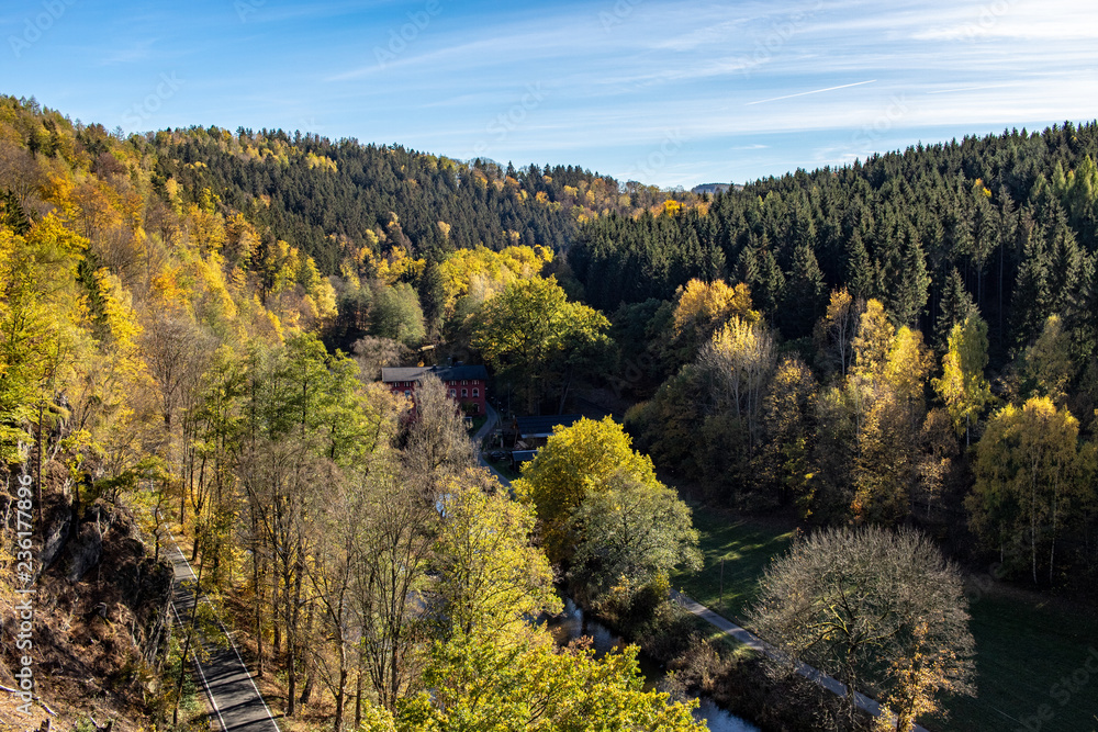 Colorful autumn forest in the Ore Mountains with hiking trails