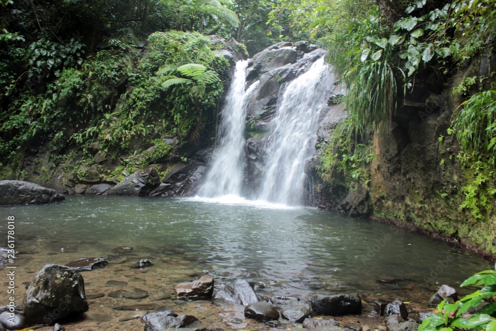 Nature sauvage des caraïbes sur l’Île de la Martinique