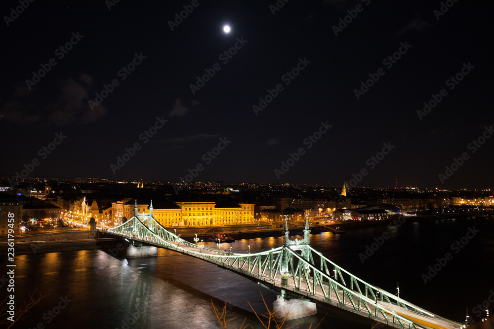 Fototapeta premium liberty bridge budapest