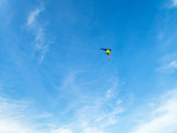 A lonely kite flying high in the sky of the Ameland island in the Netherlands in Autumn - 2