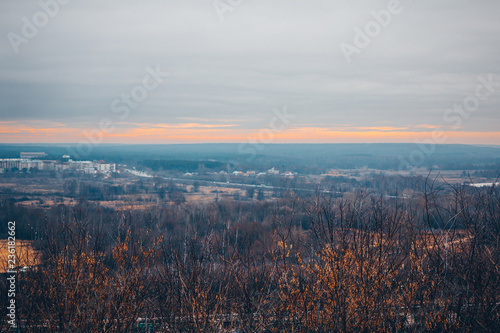 Sunset in pastel colors. Landscape with forest in late autumn.