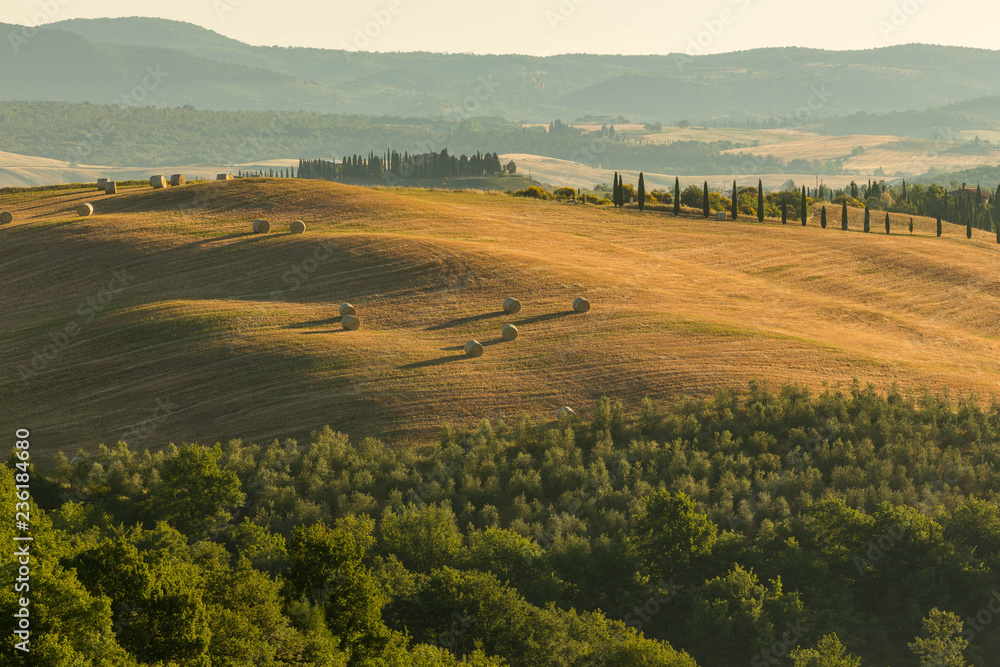 Fototapeta premium A lovely view over the hills of tuscany in the morhing sun