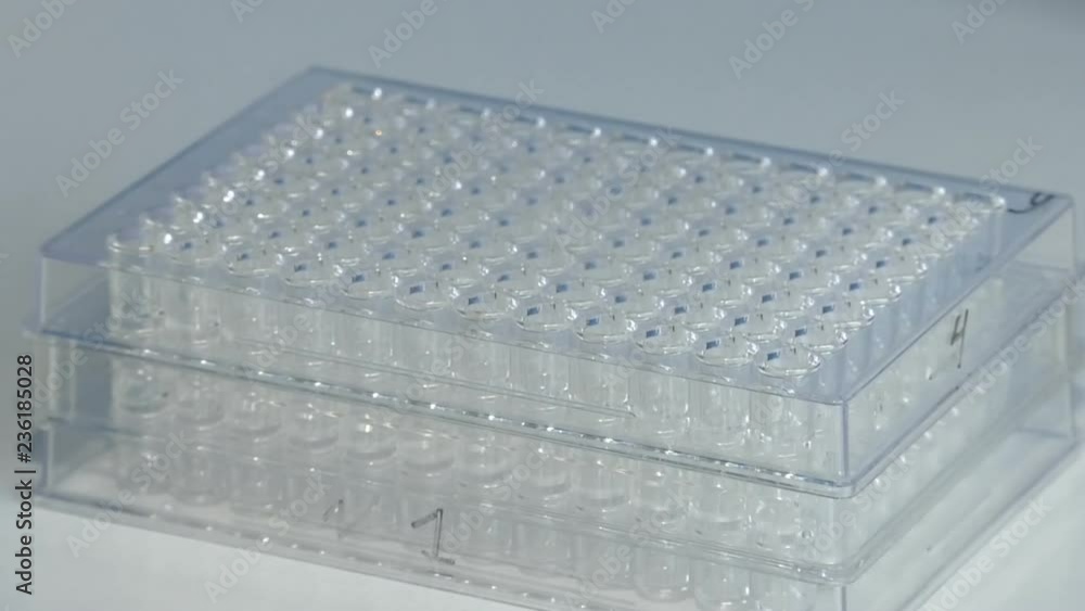 Laboratory of enzyme analysis. Diagnosis of viral infection in plant