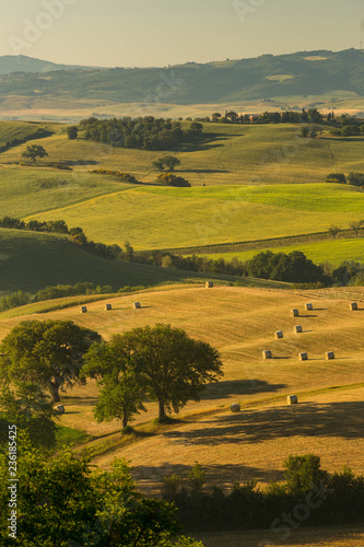 A lovely view over the hills of tuscany in the morhing sun