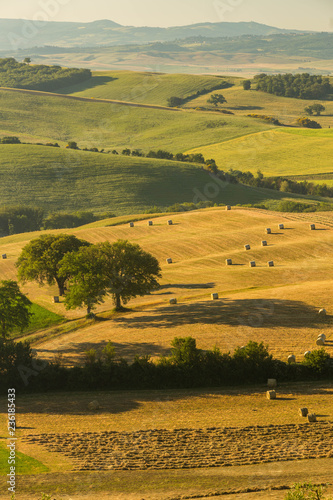 A lovely view over the hills of tuscany in the morhing sun