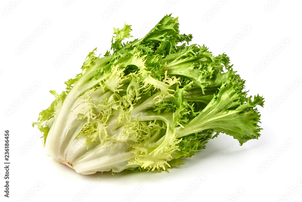 Salad leaf. Romain Lettuce, isolated on a white background. Close-up. Salad leaf. Romain Lettuce, isolated on a white background. Close-up.