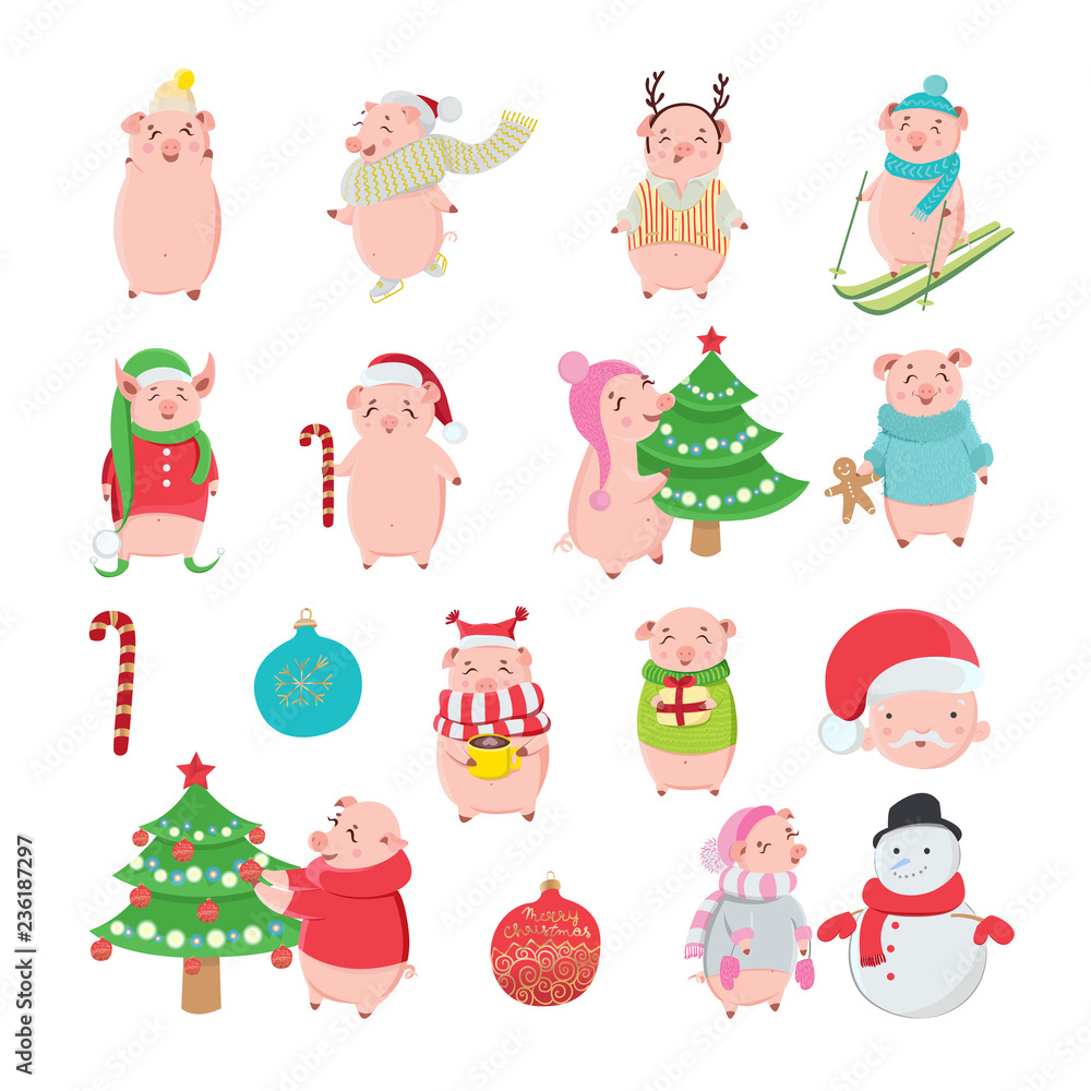 Set of happy and funny pigs on white background. Piglets as a symbol of 2019. Christmas holiday winter season.