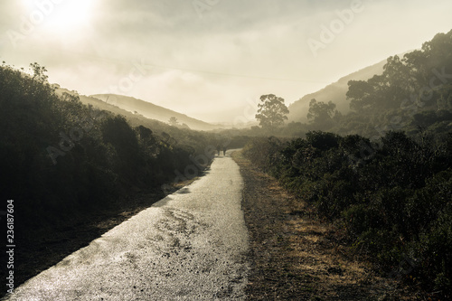 Slika na platnu Sneath Lane basking in a hazy sunlight after a rain storm, San Bruno, California