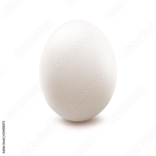 Egg. Vector illustration.
