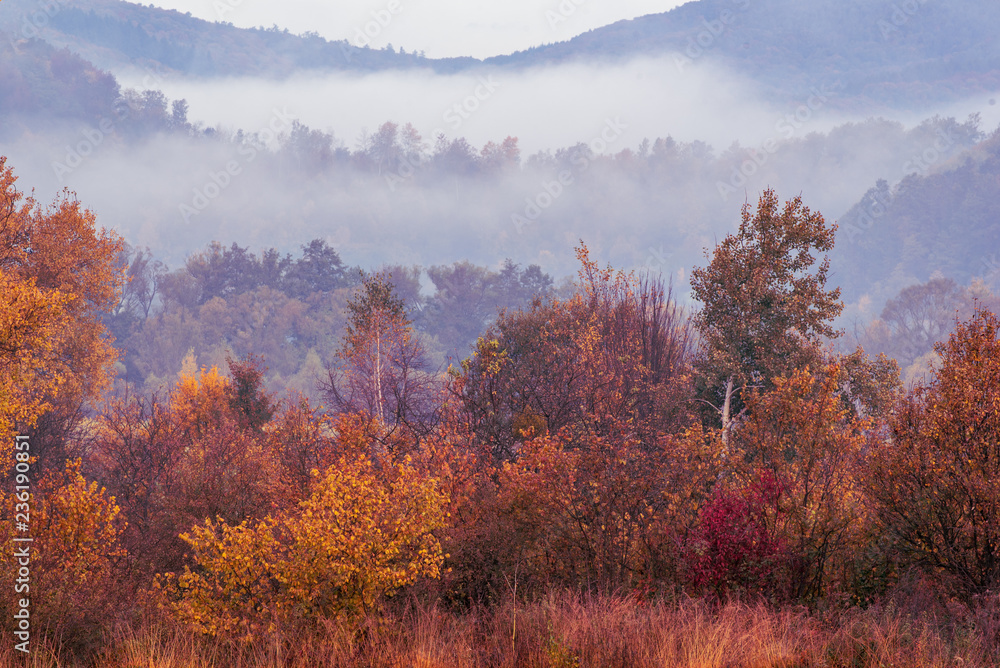 Foggy autumn landscape Foggy autumn landscape